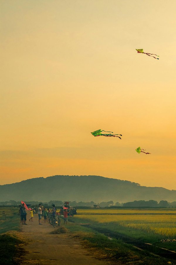Comment planifier une croisière qui inclut des ateliers de construction de cerfs-volants traditionnels en Asie?
